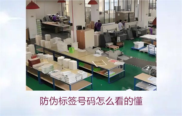 防偽標簽號碼怎么看的懂？詳細解析防偽標簽號碼的識別方法與技巧(圖2)