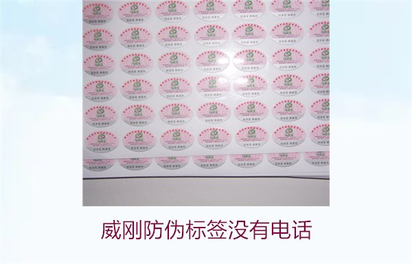 威剛防偽標(biāo)簽沒(méi)有電話,如何通過(guò)其他方式驗(yàn)證威剛防偽標(biāo)簽的真?zhèn)?圖3) 威剛防偽標(biāo)簽沒(méi)有電話,如何通過(guò)其他方式驗(yàn)證威剛防偽標(biāo)簽的真?zhèn)?圖3)